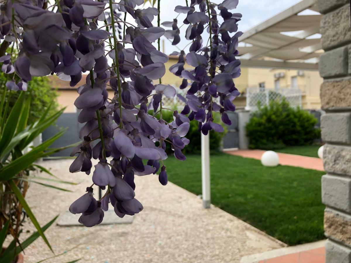 City Garden Guest House Olbia Exterior foto